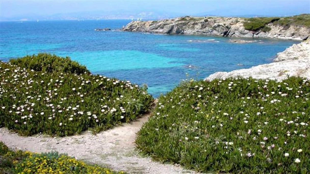 Villa Spacieuse, Climatisation, Piscine, Jardin Paysage, Proche Mer Saint-Cyr-sur-Mer Dış mekan fotoğraf